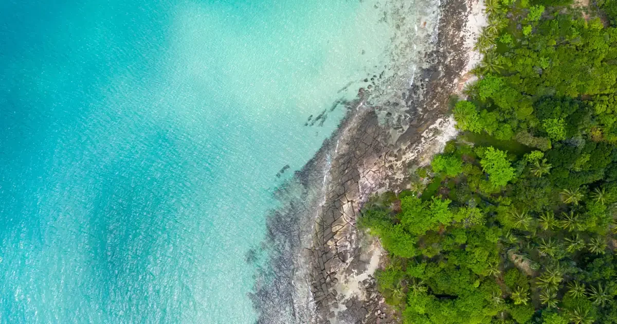 Vue aérienne d'une côte : ligne d'écume blanche entre le lagon turquoise et la végétation dense du rivage