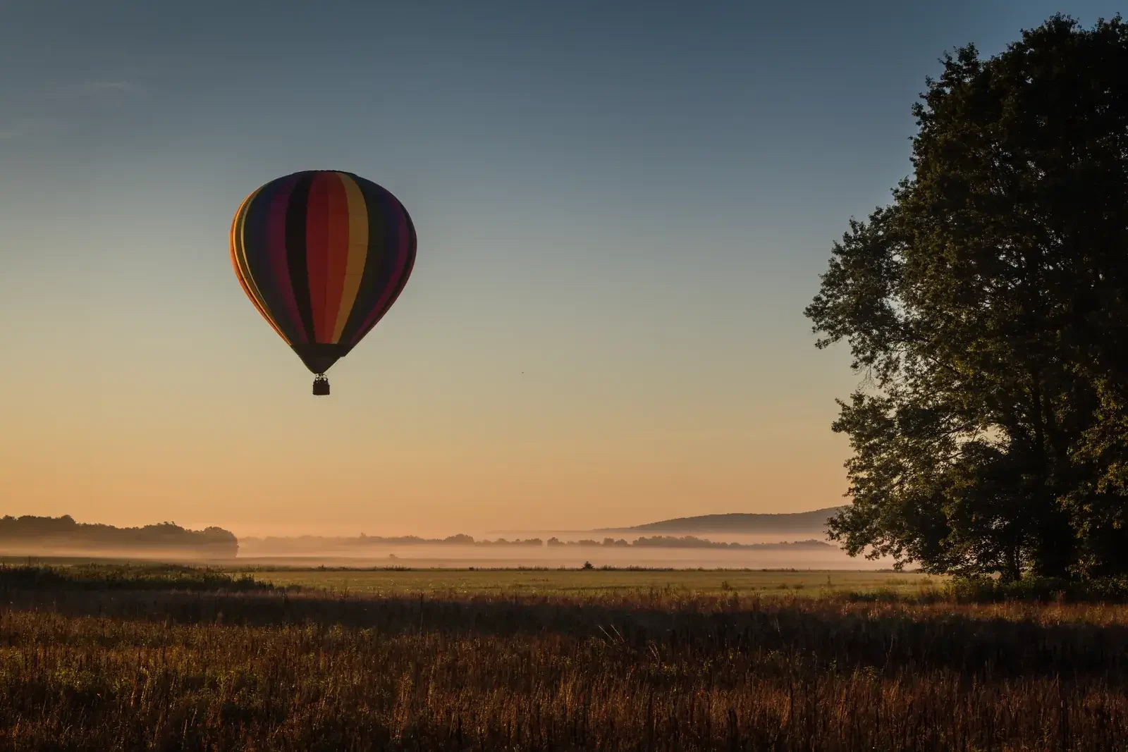Montgolfière qui s’élève au-dessus d’un champ brumeux au lever du jour, grand arbre isolé sur la droite